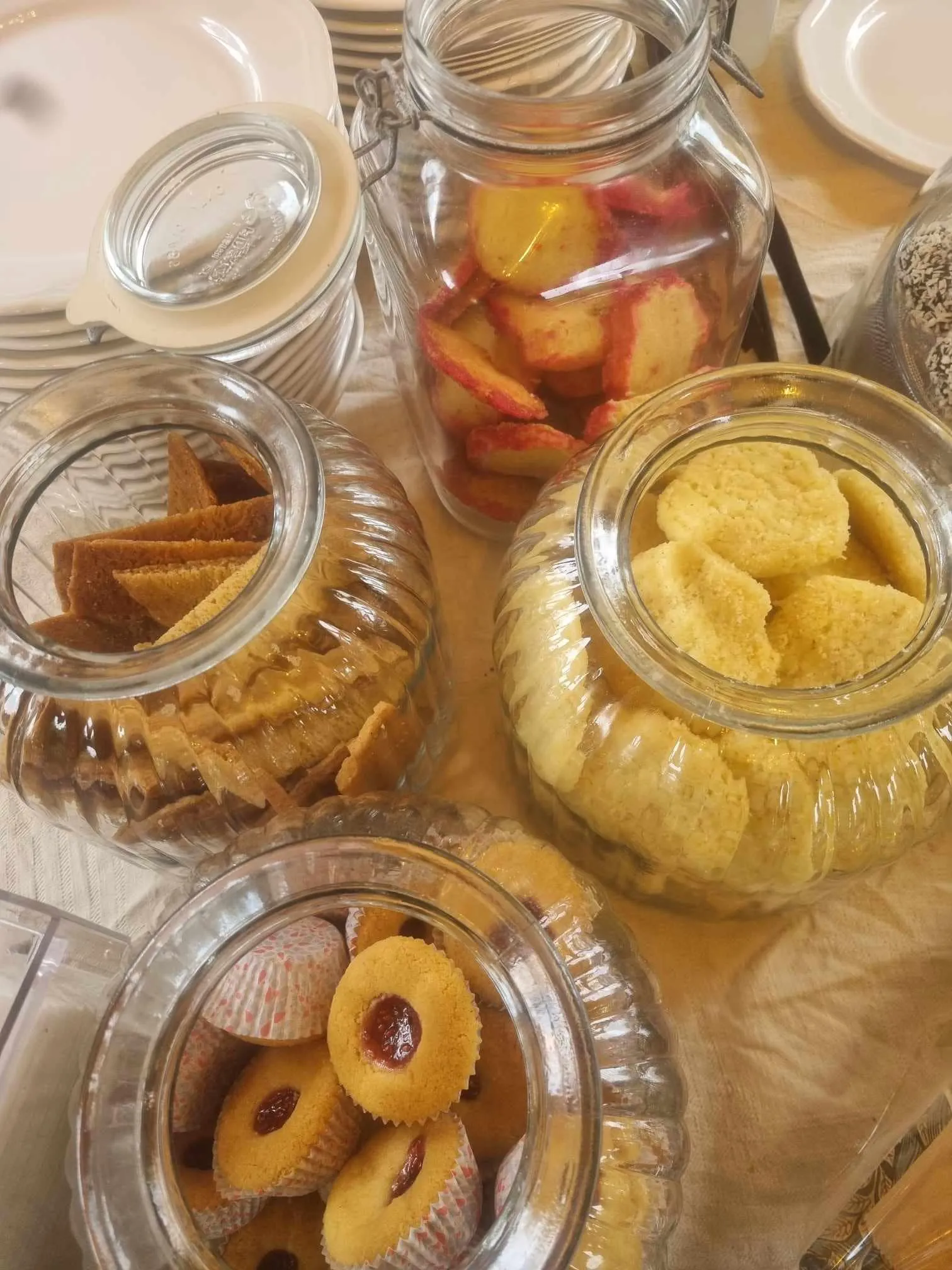 Styragårdens trädgård 240630