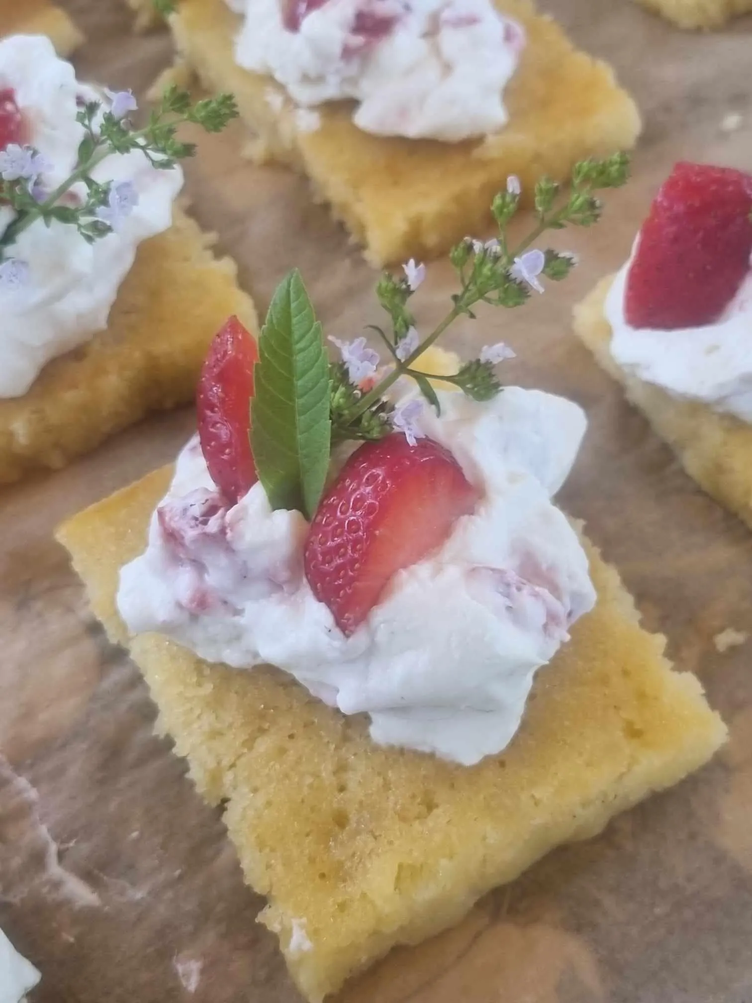 Styragårdens trädgård 240630