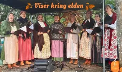 Visor kring elden 261010
